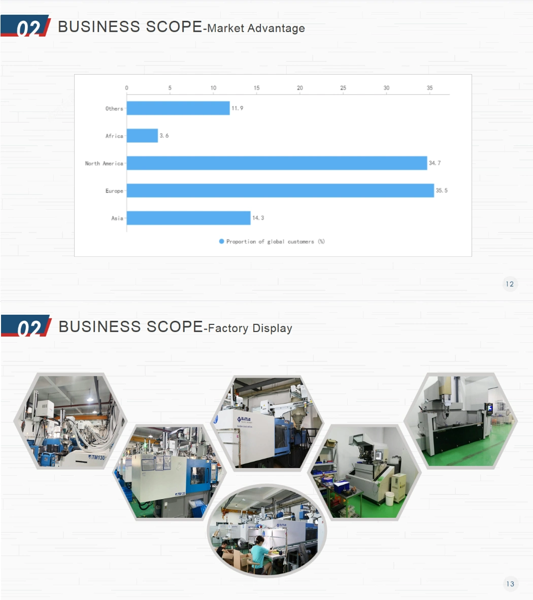 China Factory Provide Custom Nylon+Iron Plastic Heavy Hammer Injection Molding with Mould Service