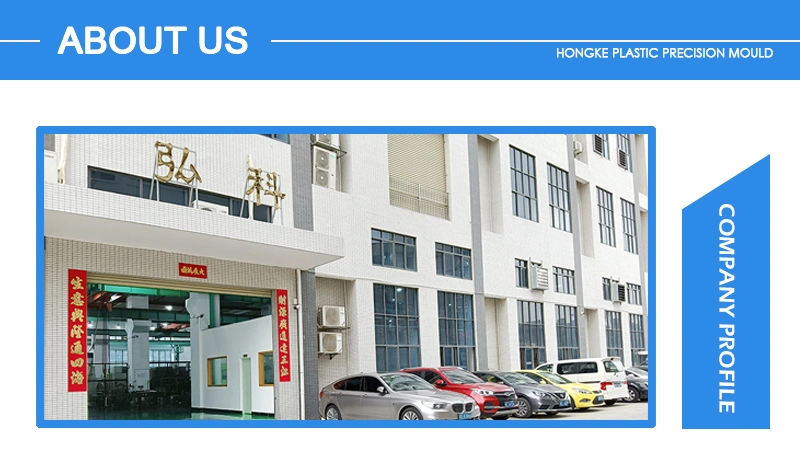 High Precision Plastic Mold High Performance Material Mold Plastic Products Injection Molding