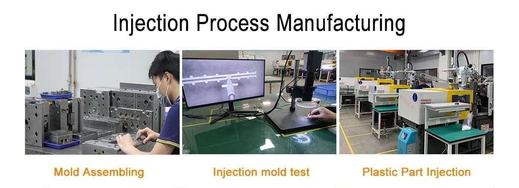 Customize High Precision Plastic Injection Mold PVC Molding with Hasco Standard